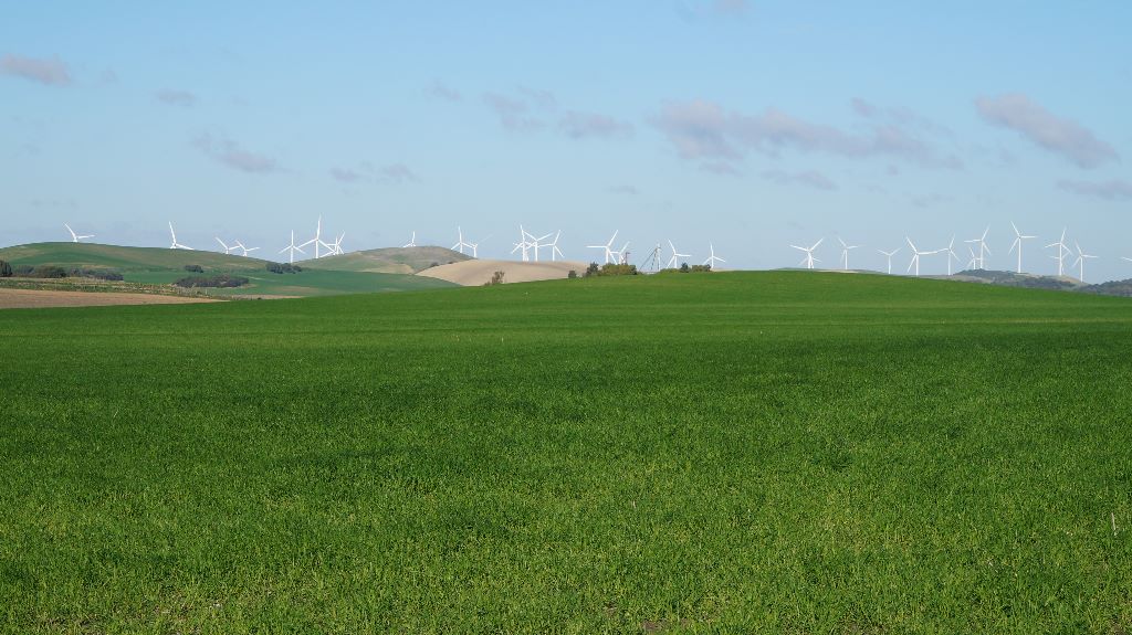 du Parc des Chaumes - Jerez de la Frontera