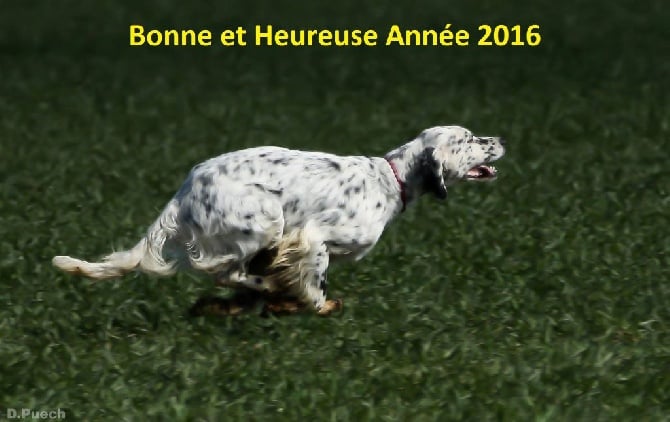 du Parc des Chaumes - Bonne et Heureuse Année 2016