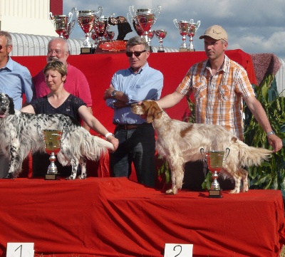 du Parc des Chaumes - Résultats à la Nationale d'Elevage 2013