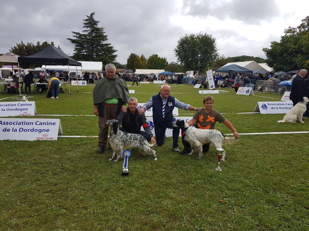 du Parc des Chaumes - Spéciale Setter : Sorges