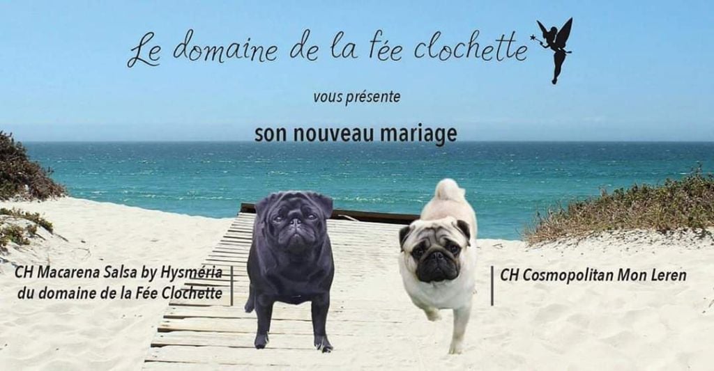 Nouveau mariage