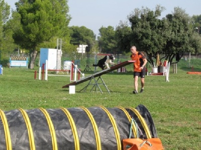 des Crocs de Provence - Concours d'agility de Mézel