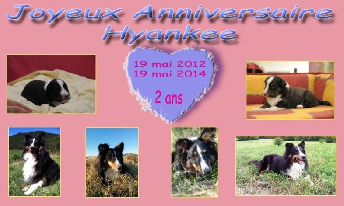 des Crocs de Provence - Joyeux Anniversaire Hyankee