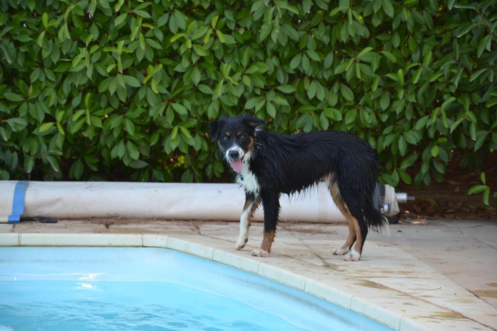 des Crocs de Provence - Des nouvelles d'Hades