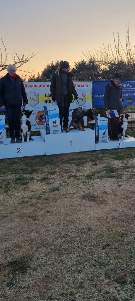 des Crocs de Provence - Ruby 3ème au Championnat Régional d'obeissance