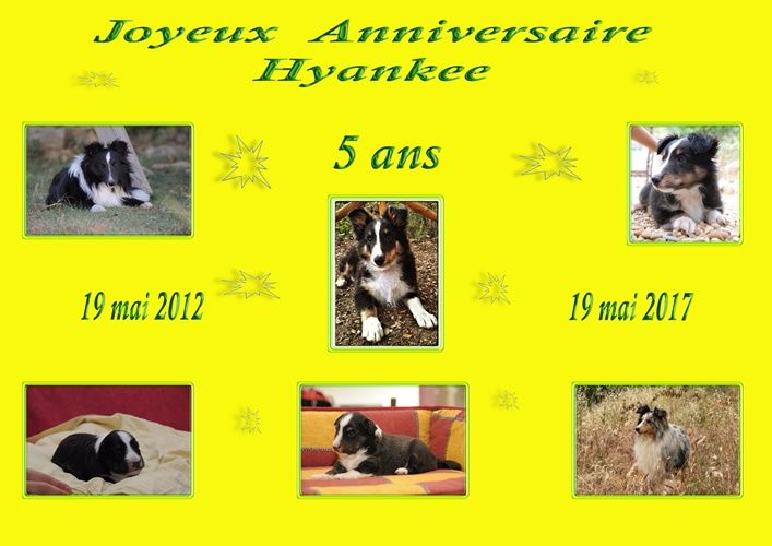 des Crocs de Provence - Joyeux Anniversaire