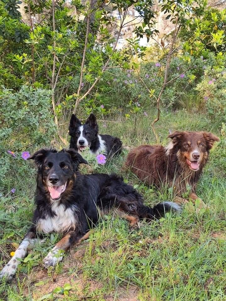 des Crocs de Provence - Des nouvelles de Occitanie