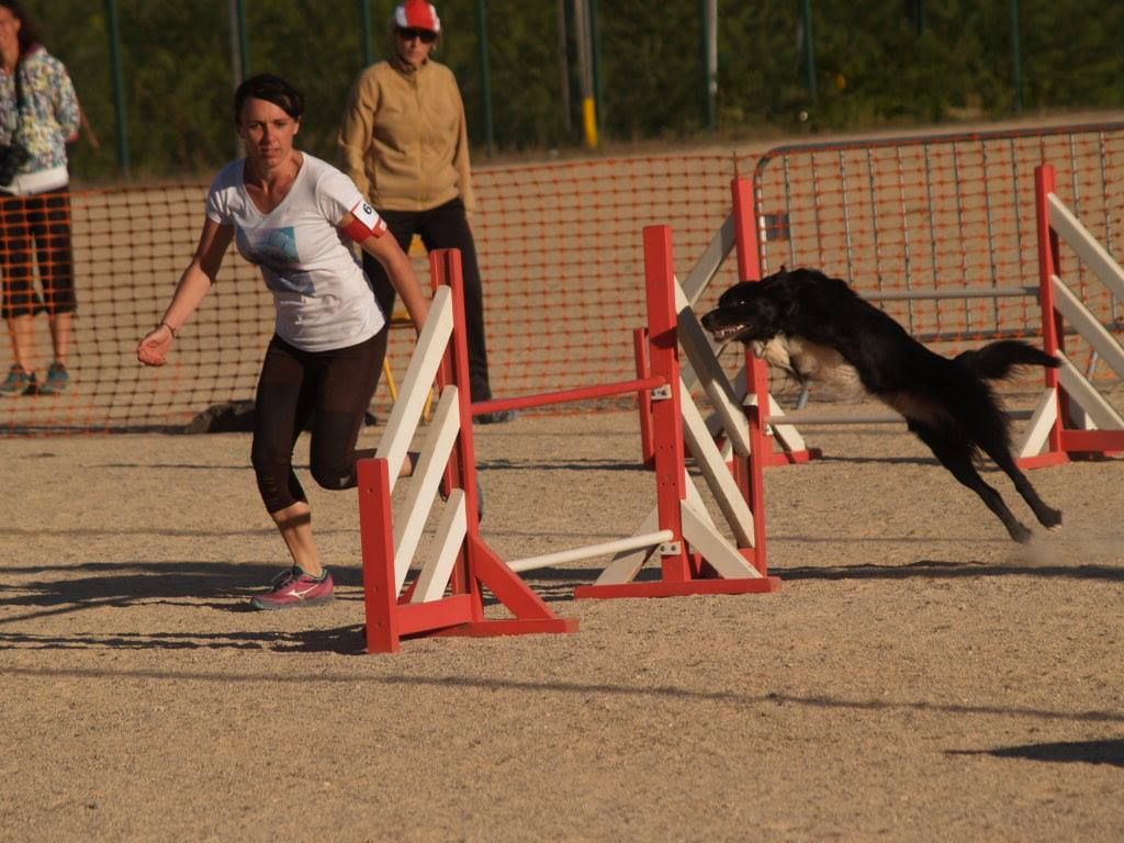 des Crocs de Provence - Concours d'agility des Cadéous