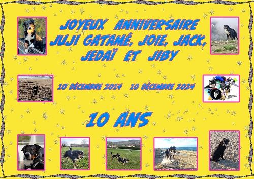 des Crocs de Provence - Joyeux Anniversaire