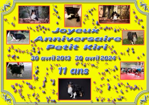 des Crocs de Provence - Joyeux Anniversaire