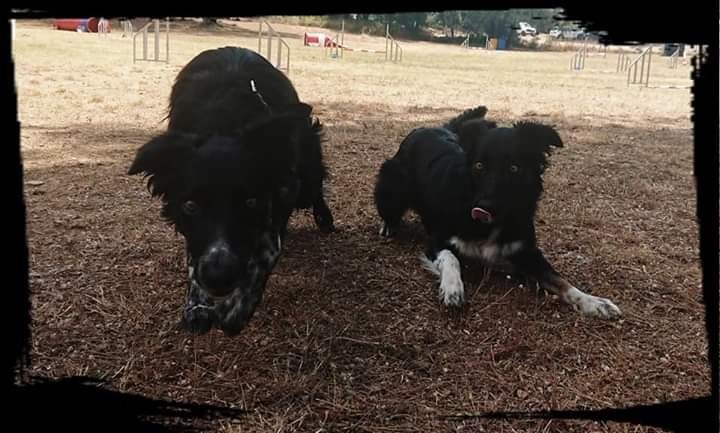 des Crocs de Provence - C.A.E.S.C. et Passagility réussis pour On