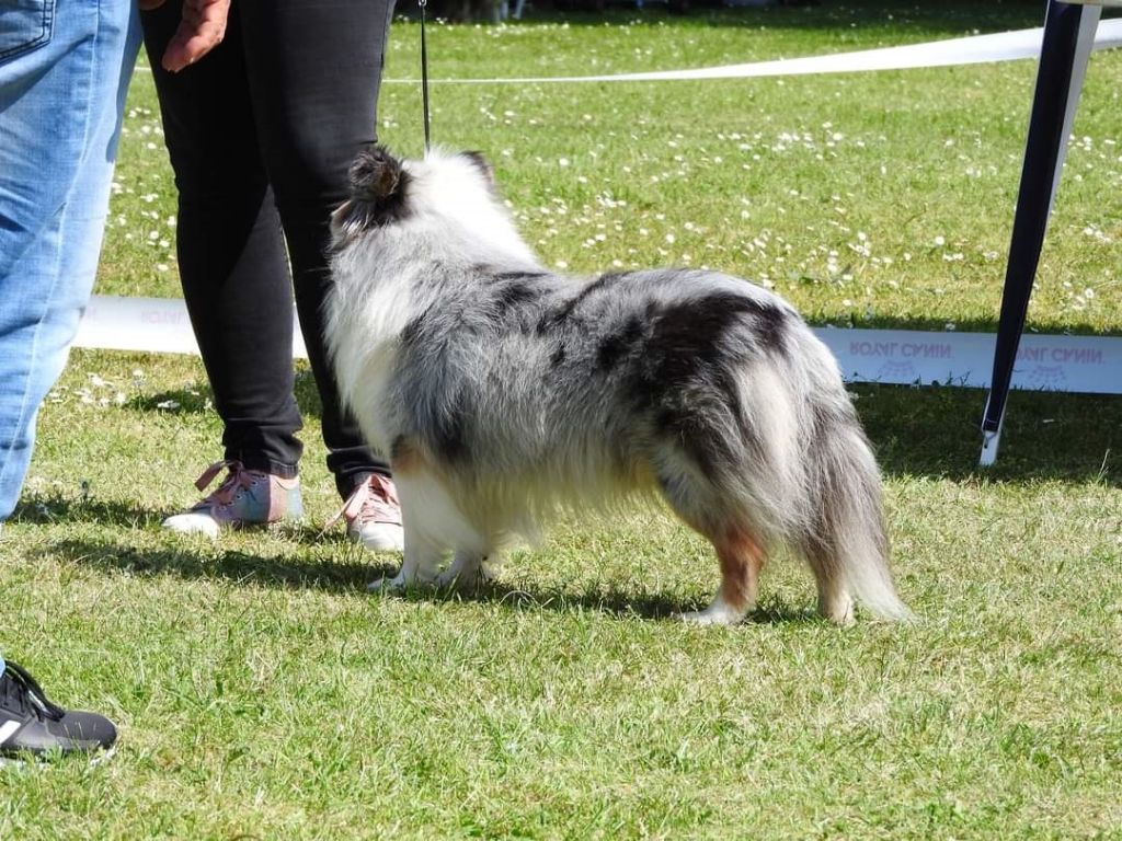 des Crocs de Provence - Légolas Champion International Vétéran