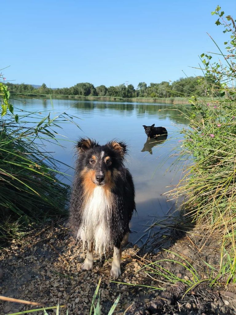 des Crocs de Provence - Des nouvelles de Magic