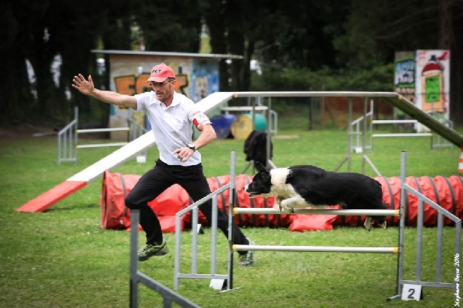 des Crocs de Provence - Concours d'agility d'Eurocopter