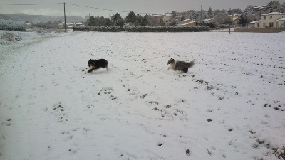 des Crocs de Provence - Islay sous la neige