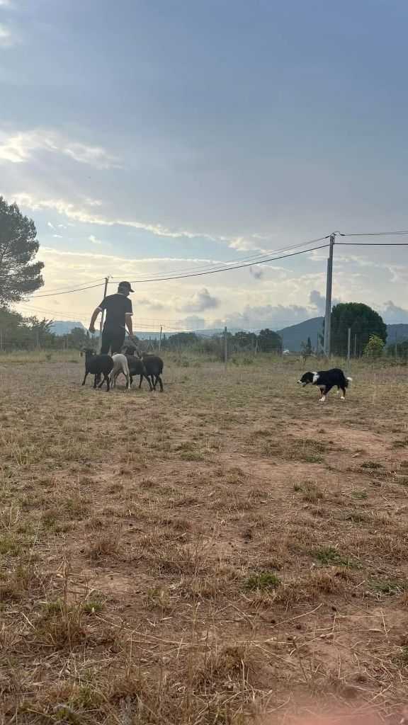 des Crocs de Provence - Des nouvelles d'Hadès