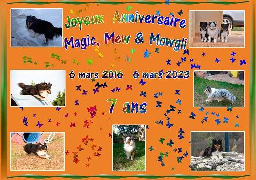 des Crocs de Provence - Joyeux Anniversaire