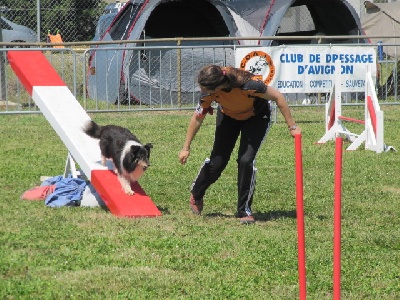 des Crocs de Provence - Victoria au Championnat de France d'agility