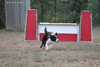 des Crocs de Provence - Golden 3