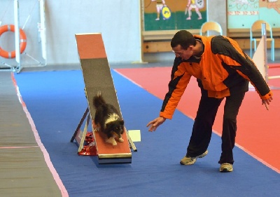 des Crocs de Provence - Première partie de brevet pour Féline