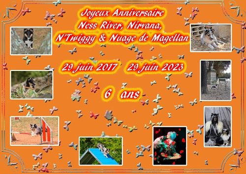 des Crocs de Provence - Joyeux Anniversaire