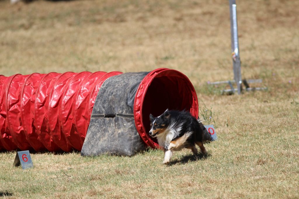 des Crocs de Provence - Passagility réussi pour Madness