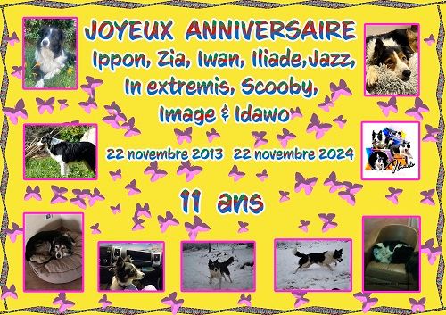 des Crocs de Provence - Joyeux Anniversaire