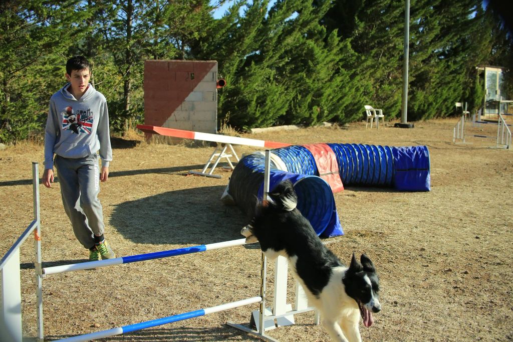 des Crocs de Provence - Concours d'agility de Malvalette