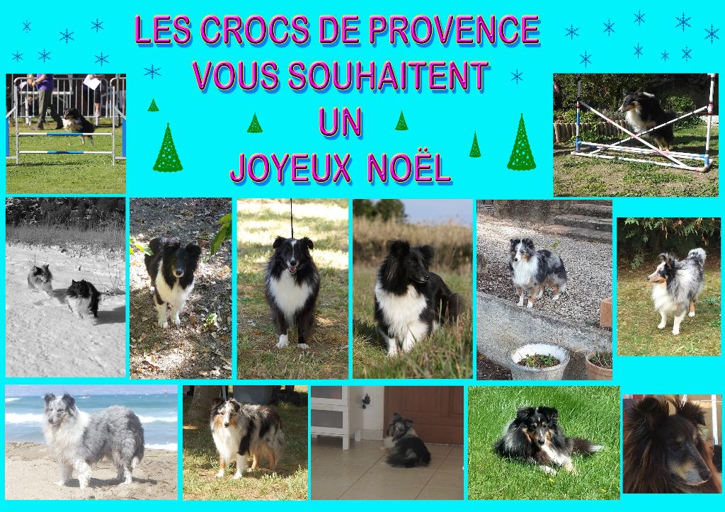 des Crocs de Provence - Joyeux Noël