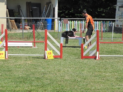 des Crocs de Provence - Concours d'agility de Marignane