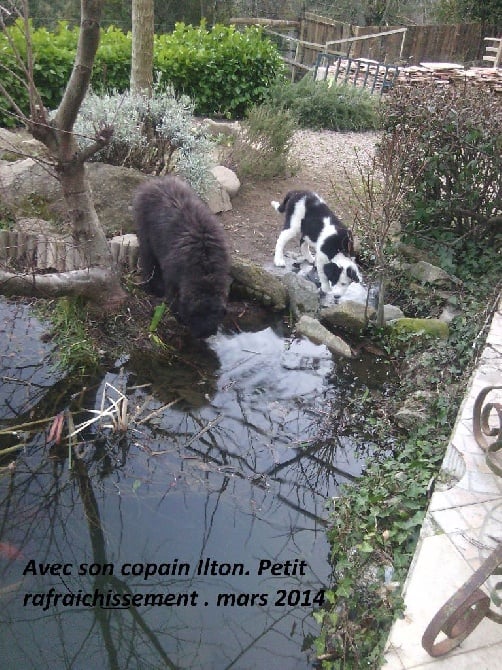 des Crocs de Provence - Des nouvelles d'In extrémis