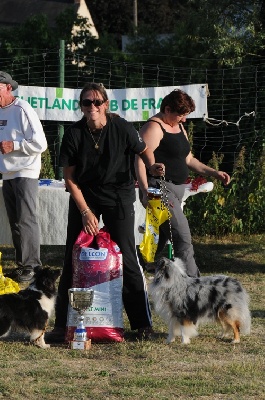 des Crocs de Provence - Van Gogh champion de France d'agility 2011 à la Nationale Shetland