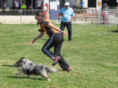 des Crocs de Provence - Concours d'agility de Roquefure