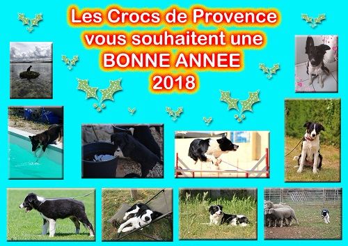 des Crocs de Provence - Bonne Année