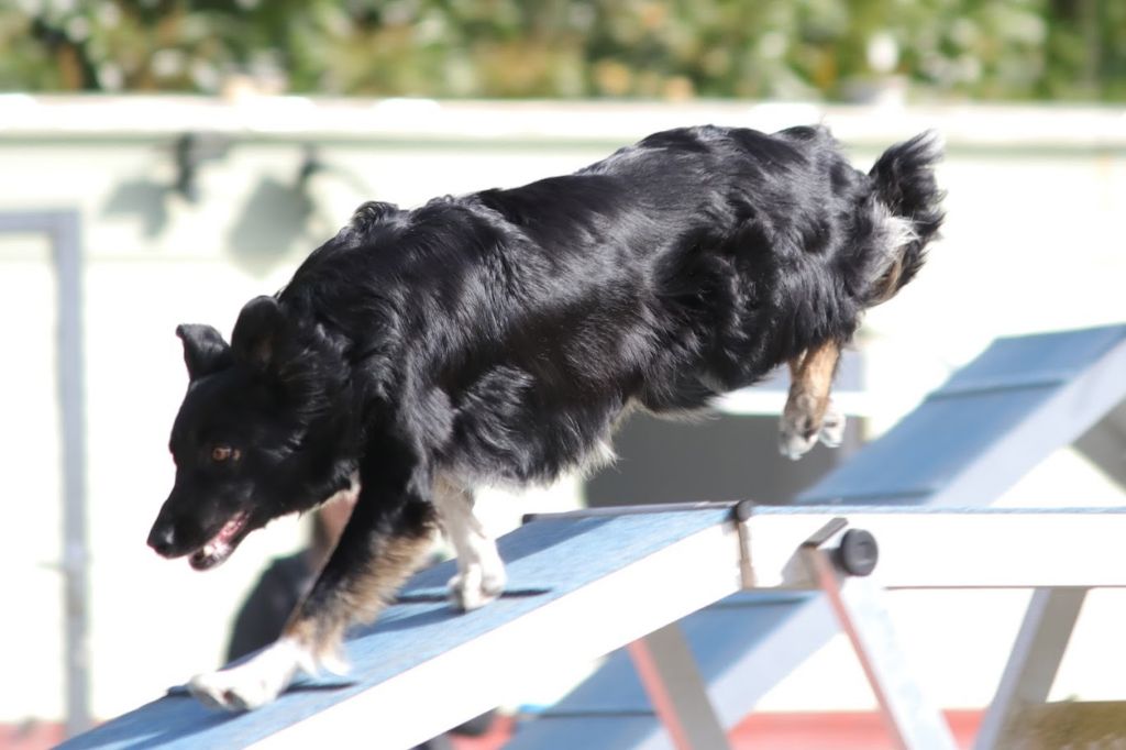 des Crocs de Provence - On et Esteban sur liste d'attente pour les championnats du monde