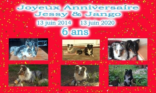 des Crocs de Provence - Joyeux Anniversaire