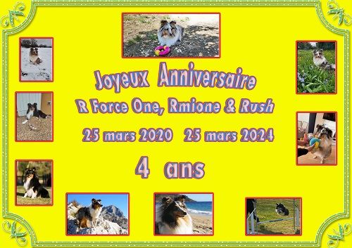 des Crocs de Provence - Joyeux Anniversaire