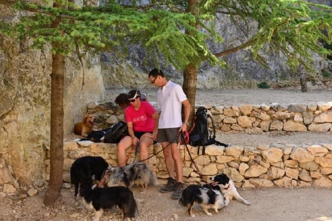 des Crocs de Provence - Randonnée dans la Sainte Victoire