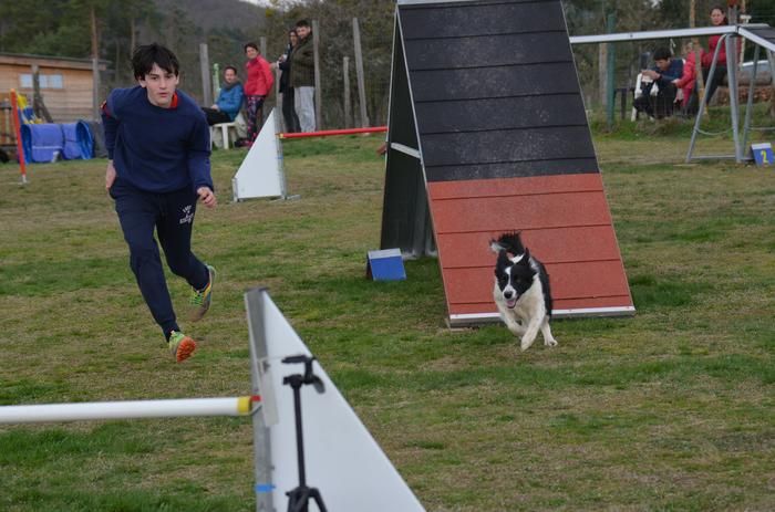 des Crocs de Provence - Concours d'agility de Ville sous Anjou