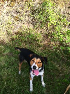 des Crocs de Provence - Genny : 2 ans