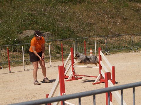 des Crocs de Provence - C.A.E.S.C. et Passagility pour June