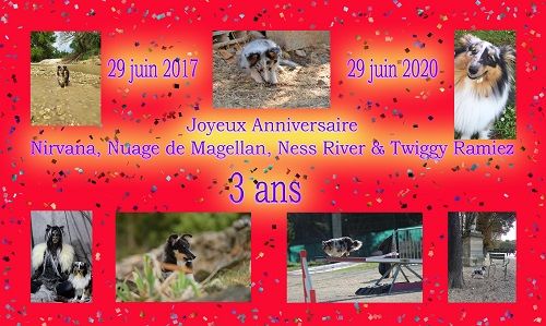 des Crocs de Provence - Joyeux Anniversaire