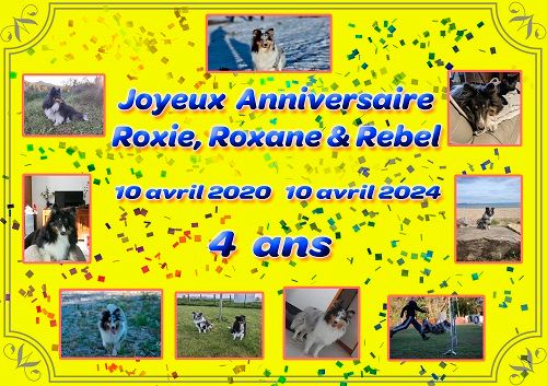 des Crocs de Provence - Joyeux Anniversaire