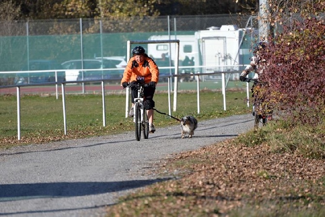 des Crocs de Provence - Cross Canin du Chaffaut