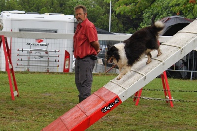 des Crocs de Provence - Concours d'agility du Chaffaud