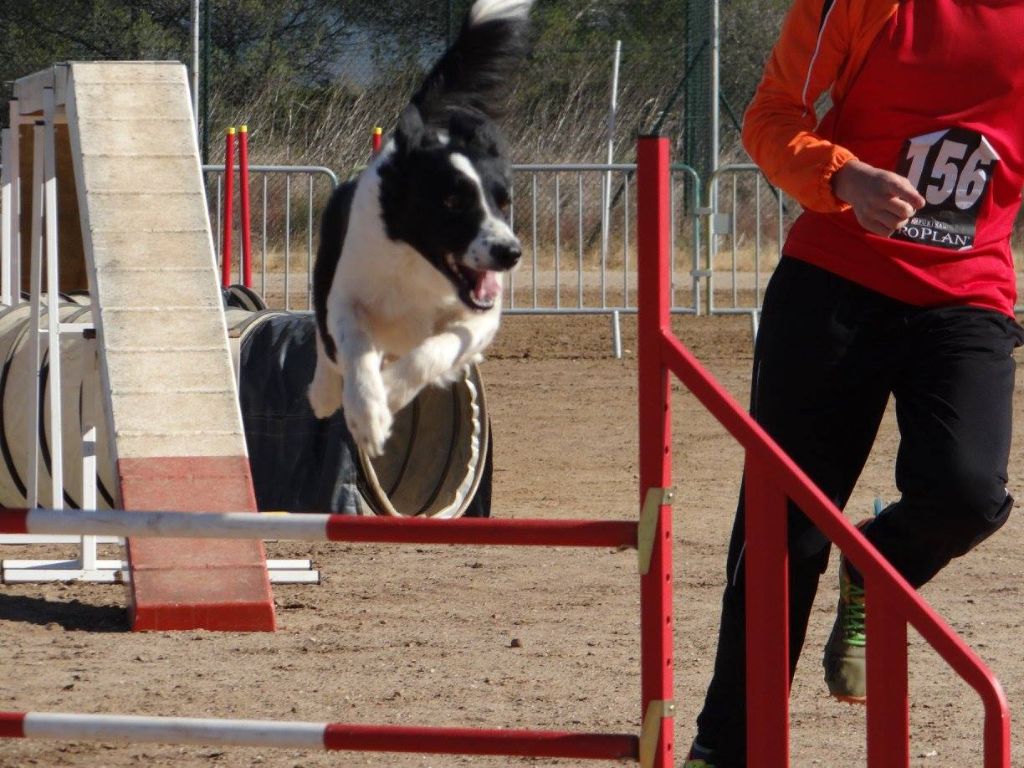 des Crocs de Provence - 2ème partie de brevet pour Zia à Malvalette