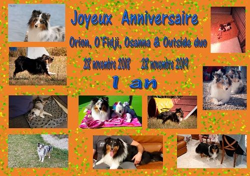 des Crocs de Provence - Joyeux Anniversaire