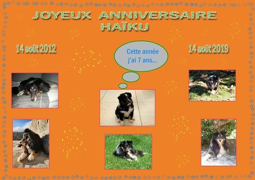 des Crocs de Provence - Joyeux Anniversaire