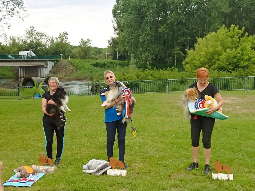 des Crocs de Provence - N'Joy Magic Bleu Vice champion de France d'agility