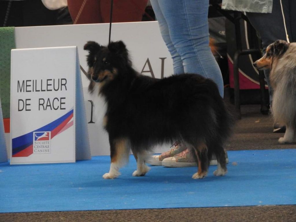 des Crocs de Provence - Tonnerre de l'Aube au Championnat de France 2024